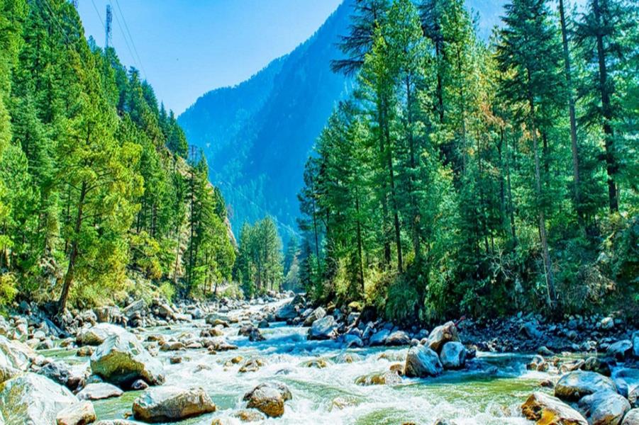 8 nights 9 days Manali Kasol Jibhi Delhi to Delhi 