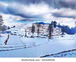 SHIMLA-KUFRI SIGHTSEEING (DAY JOURNEY BY CAB):-